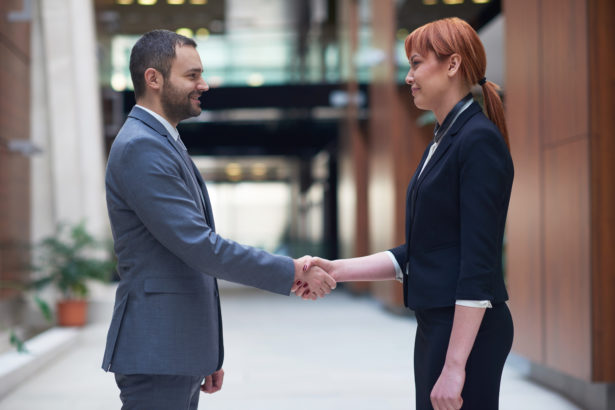 business man and woman hand shake